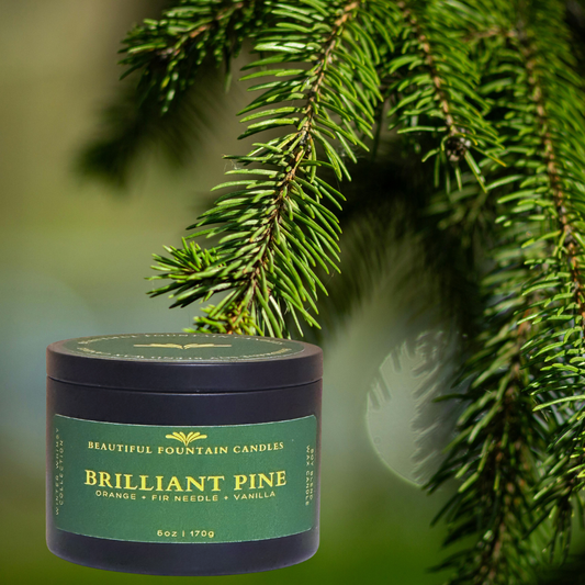 Brilliant Pine